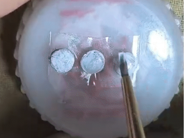 ujjain-girls-earn-world-record-spot:deities-engraved-on-lentil,-cardamom-and-5-cm-conch-in-stunning-micro-art-feat