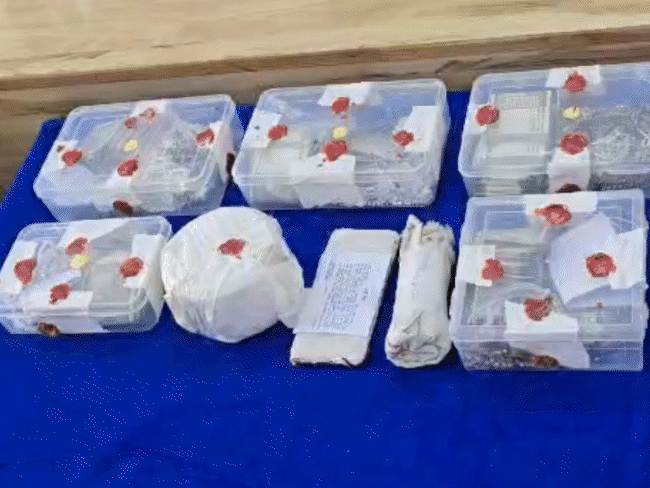 jail-born-‘gang-11’-strikes-after-release:uncle–nephew-duo-accused-of-robbing-kinnar-guru,-256-grams-gold-and-4-kg-silver-looted