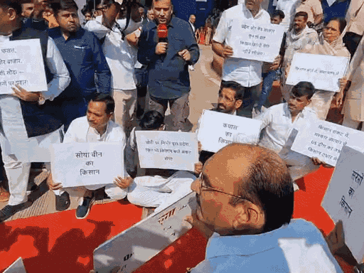 mp-cabinet-approves-₹600-bonus-for-urad-pulse-farmers:cm-outlines-agriculture-plans-for-tribal-dominated-districts-during-budget-session