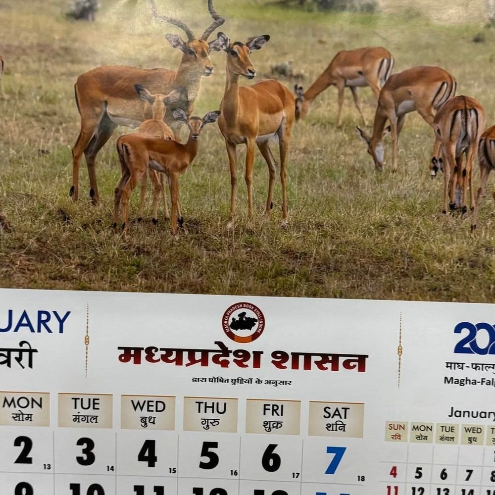 impala-controversy-erupts-over-mp-government-calendar:digvijay-singh-questions-deer-image;-says-animal-is-not-found-in-india
