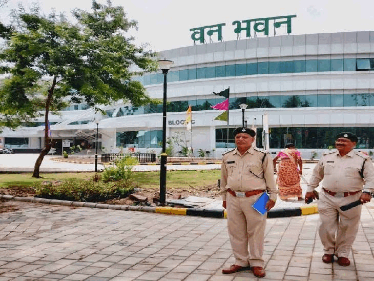 govt-opens-recruitment-for-728-forest-guard-posts:12th-pass-candidates-can-apply-online-till-march-14;-salary-up-to-₹62,000