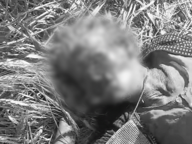 70-year-old-woman-brutally-assaulted-in-rajgarh:body-mutilated,-found-critical-in-field;-dies-in-hospital,-grandson-taken-into-custody