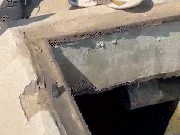 5-dead-lizards-found-in-water-tank-in-gwalior:water-supplied-to-1,300-govt-flats,-residents-allege-negligence