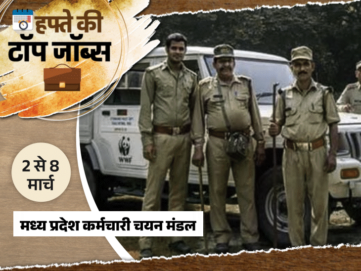 हफ्ते-की-टॉप-जॉब्स:पंजाब-आंगनवाड़ी-में-6110-पदों-पर-भर्ती;-मप्र-में-1679-वैकेंसी,-इस-हफ्ते-निकलीं-11-हजार-से-ज्यादा-नौकरियां