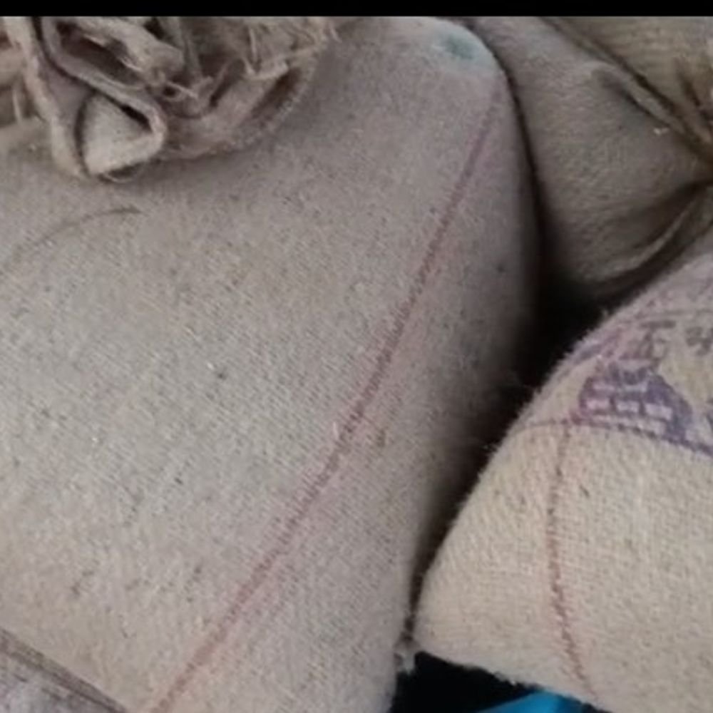 irregularities-found-in-govt-school-ration-in-bhind:items-kept-at-police-station-over-sale-suspicion;-education-dept-serves-notice-to-principal