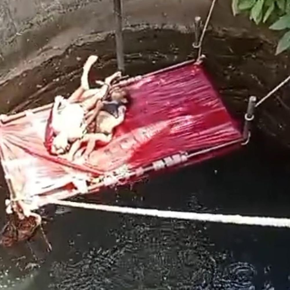 mother-kills-two-kids-by-pushing-them-into-well:then-jumps-into-30-foot-pit-to-death-with-her-20-day-old-newborn