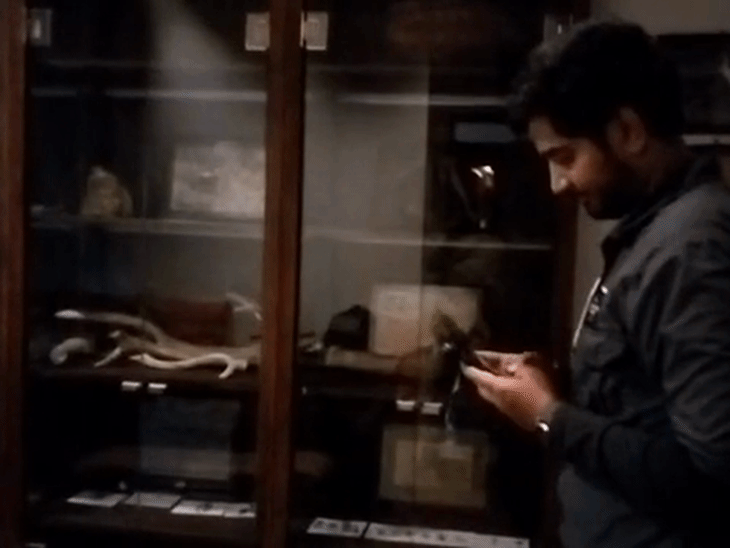 luxury-resort-in-str-displays-wildlife-parts-to-attract-tourists:chital-antlers,-porcupine-quills,-and-snake-skin-found;-room-rent-₹35,000-per-night