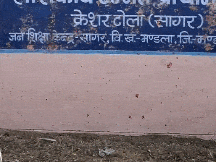 speeding-dumper-crushes-toddler-in-mandla:blood-splatters-on-school-wall;-mother-gathers-body-pieces-from-road