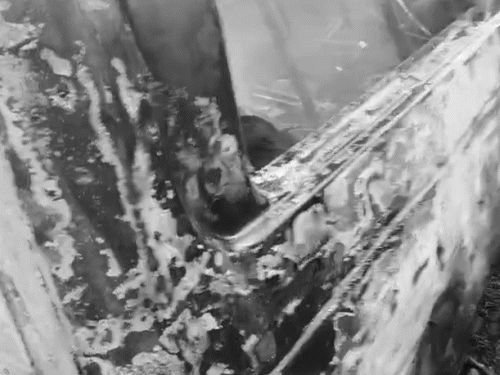 man-sleeping-in-car-burnt-alive-in-jabalpur:vehicle-catches-fire-due-to-mosquito-coil;-nearby-shop-also-gutted