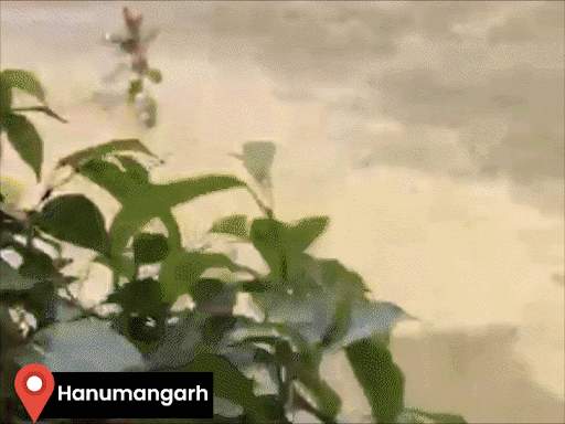 rajasthan-faces-4-day-storm-rain-alert:hail-falls-amid-sunshine-in-hanumangarh;-temperature-drops-to-3°c