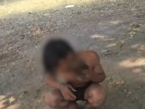 minor-beaten,-stripped-and-filmed-in-jabalpur:dispute-over-money-in-thieves’-gang;-3-taken-into-custody
