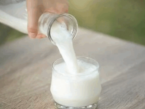 milk-prices-to-rise-in-mp-from-tomorrow:rate-increases-from-₹60-to-₹65-per-litre;-sanchi-has-not-increased-rates-yet