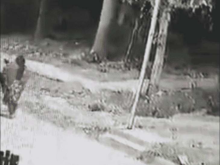 man-assaults-wife,-friend-and-abducts-them-in-dewas:two-arrested-in-indore,-car-seized;-3rd-suspect-still-on-the-run