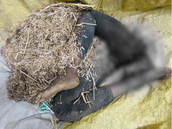 torso-crushed-in-thresher,-lower-body-remains-intact:labourer-dies-in-crop-harvesting-accident-in-morena