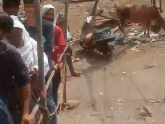 new-lpg-connections-closed-for-a-month-in-indore:chaos-in-bhopal-as-customers-reach-agency,-but-cylinders-shown-delivered