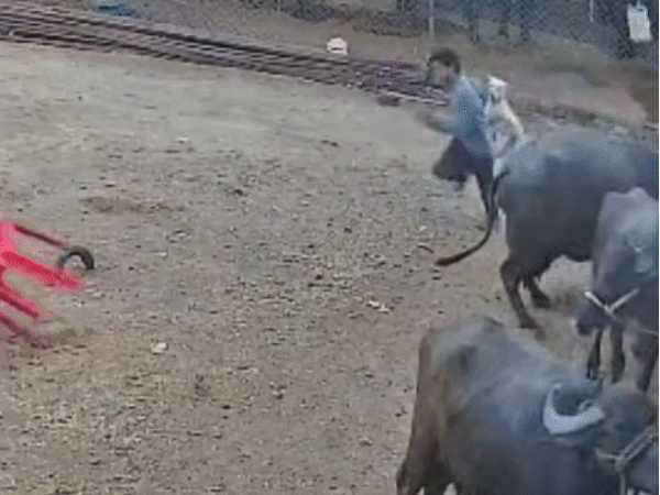 stray-dog-ferociously-attacks-villagers-in-indore:bites-5-people,-injures-neck-and-legs