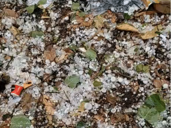 hail-blankets-roads-across-mp-districts:8–10-districts-see-hail,-rain-alert-in-27-districts-including-gwalior;-similar-weather-till-april-8