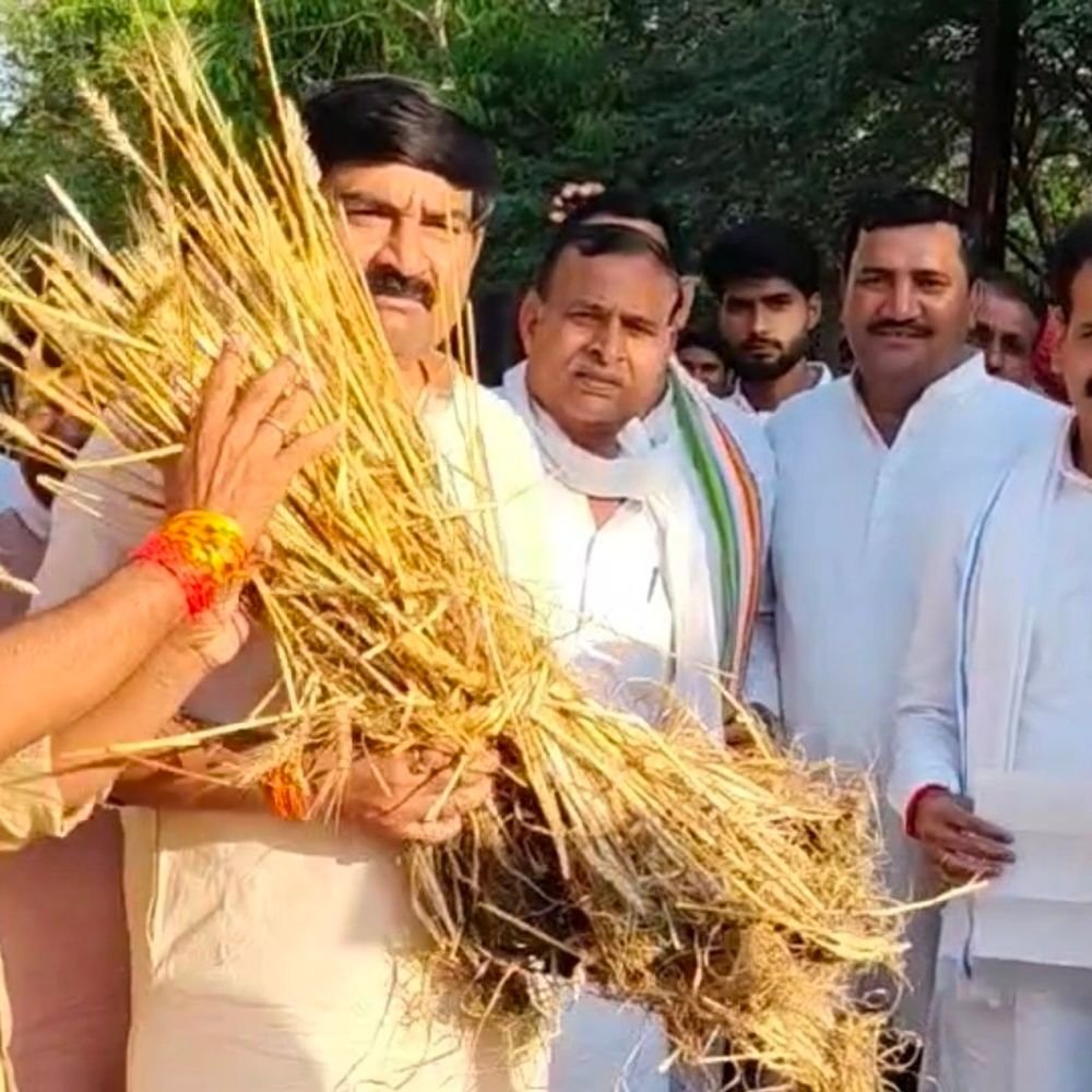 gwalior-mla-submits-memorandum-to-scindia:urges-proper-survey-of-crops-damaged-by-unseasonal-rainfall-in-multiple-villages