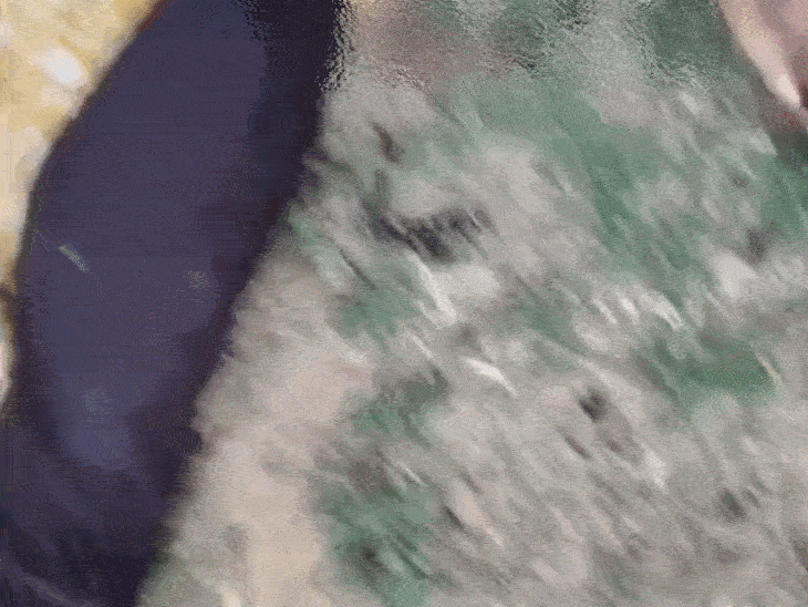 mp-woman’s-throat-slit-before-wedding:up-youth-found-hanging-100-metres-away;-police-suspect-murder-suicide-angle