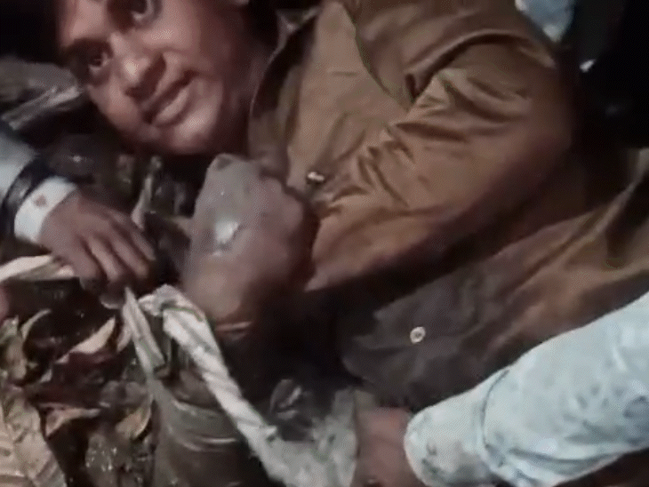 man-subdues-wolf-after-attack-in-khandwa-village:holds-it-down-with-body-despite-bites;-villagers-later-tie-animal-and-kill-it