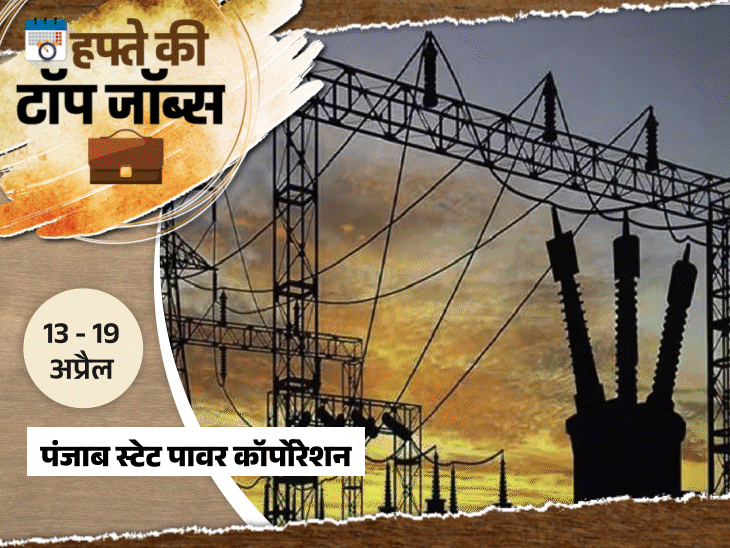 हफ्ते-की-टॉप-जॉब्स:गुजरात-में-टीचर-की-11,000-भर्ती;-पंजाब-स्टेट-पावर-कॉर्पोरेशन-में-3000-वैकेंसी,-इस-हफ्ते-निकलीं-21042-नौकरियां