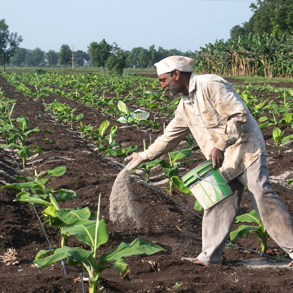 india’s-fertilizer-production-decreased-by-25%-due-to-iran-war:what-are-reasons-for-decline-in-production-what-will-be-its-impact?