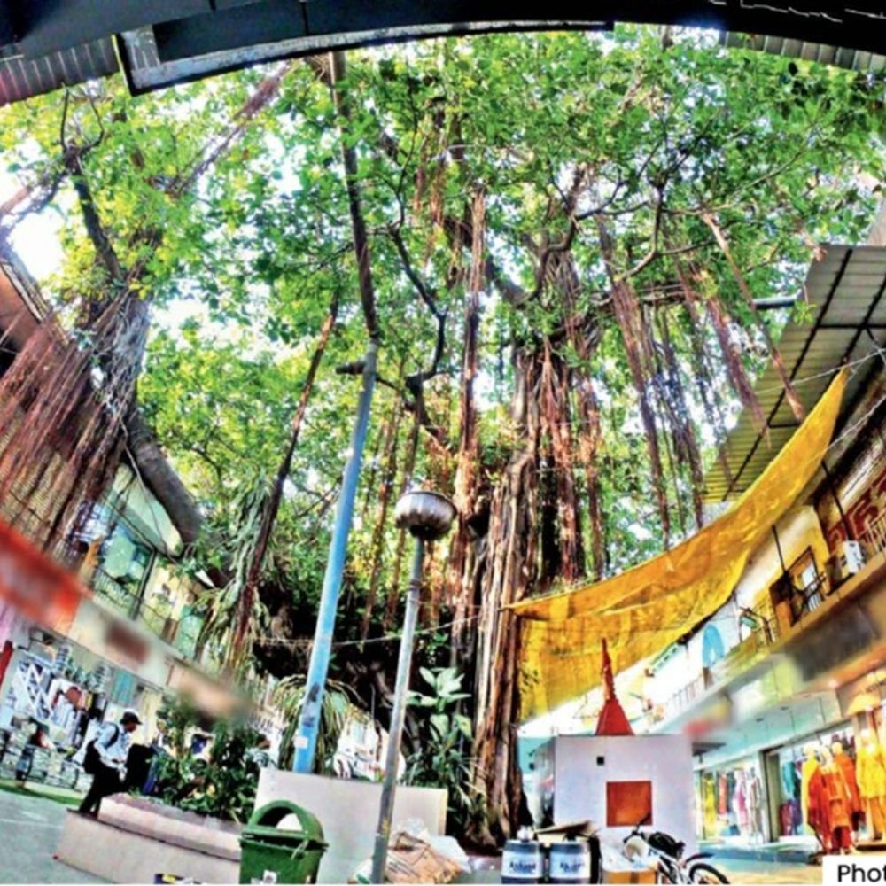 indore’s-green-claims-fall-short:sparse-shade-despite-20-lakh-trees;-iit-study-warns-of-rising-temperatures