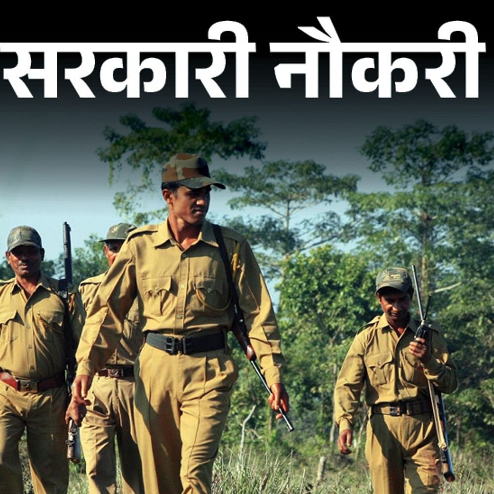 आज-की-सरकारी-नौकरी:यूपी-में-फॉरेस्ट-गार्ड-के-708-पदों-का-नोटिफिकेशन-जारी;-पंजाब-में-170-वैकेंसी,-ssc-कंबाइंड-हिंदी-ट्रांसलेटर-के-लिए-आवेदन-शुरू