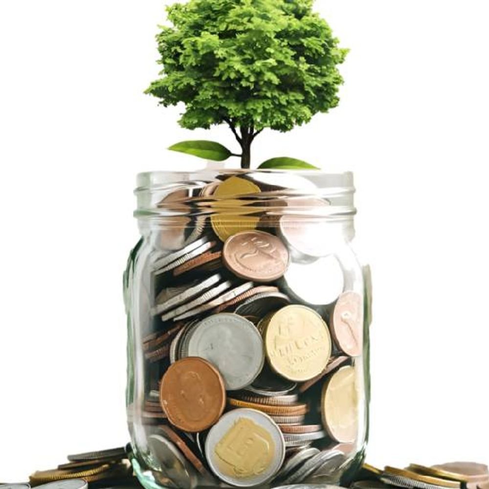 luxury-investment-stable;-rare-antique-items-increased-up-to-13%:now-investors-are-only-putting-money-in-assets-of-historical-significance