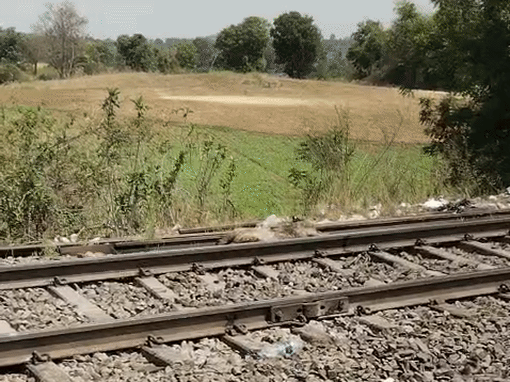 five-cows-stolen-from-ashram-and-tied-onto-railway-track:animals-killed-after-being-hit-by-train;-bajrang-dal-protests-in-harda