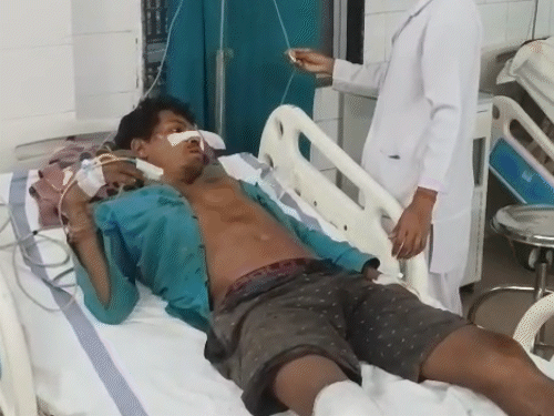 elephant-tramples-woman-to-death,-husband-and-son-injured:family-attacked-while-walking-through-fields-in-anuppur