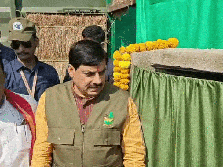 wild-buffaloes-return-to-mp-after-150-years:cm-releases-4-buffaloes-in-kanha-park,-says,-‘plans-underway-to-bring-rhinos’