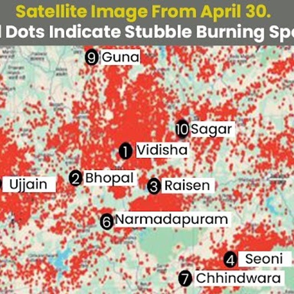 mp-accounts-for-66%-of-stubble-burning-cases:8-of-top-10-districts-from-state,-vidisha-leads-while-raisen-ranks-third