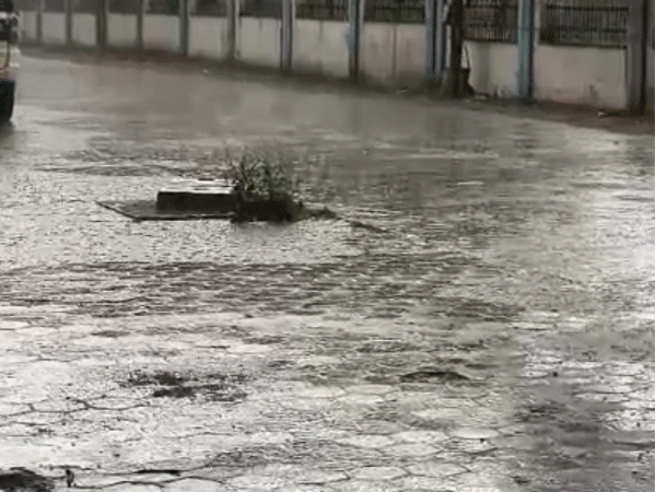 storm,-rain,-hail-hit-mp-amid-heatwave:alert-in-27-districts,-winds-to-hit-30-50kmph-till-6-may;-crop-stocks-soaked