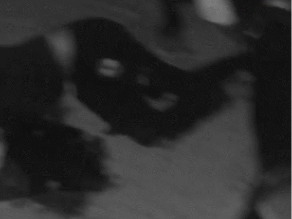 man-crushed-to-death-by-water-tanker-in-indore:head-severed,-body-parts-scattered-after-bike-skids-on-speed-breaker