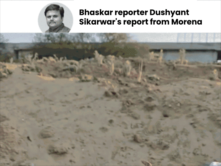illegal-sand-transport-continues-despite-strict-sc-directions:3-states-officials-arrived;-cec-inspection-team-allegedly-skips-major-dumping-sites-during-visit