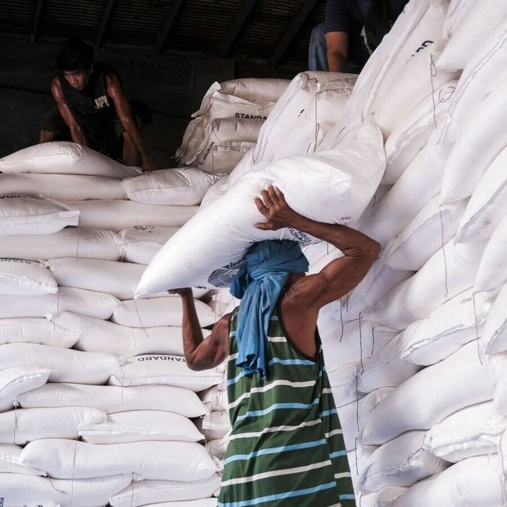 india-bans-sugar-export-till-30-september:decision-to-control-domestic-supply-and-prices,-notification-issued