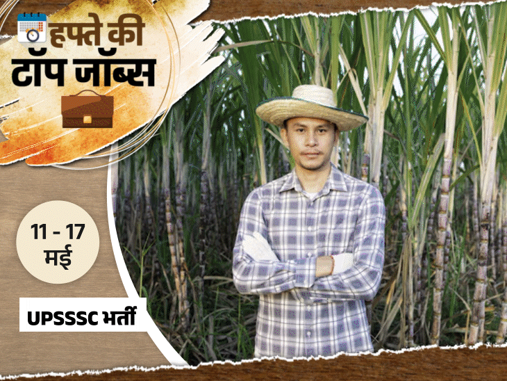 हफ्ते-की-टॉप-जॉब्स:रेलवे-में-11,127-वैकेंसी;-बिहार-पुलिस-में-15,821-पदों-पर-भर्ती;-इस-हफ्ते-निकलीं-29,932-नौकरियां