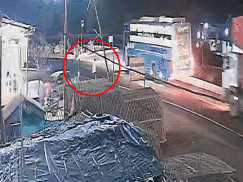 container-crushes-man-to-death:last-second-push-saves-daughter,-son-in-law,-granddaughter;-vehicle-overturns-while-fleeing
