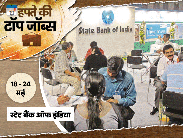 हफ्ते-की-टाॅप-जॉब्स:sbi-में-7150-पदों-पर-भर्ती,-रेलवे-में-6565-वैकेंसी;-इस-हफ्ते-निकलीं-20,961-नौकरियां