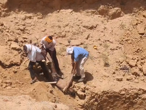 5-dead-after-well-collapses-in-panna:families-accuse-administration;-says-rescue-work-started-after-3-hour-delay