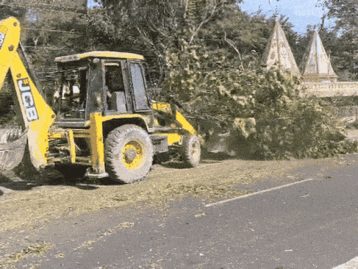 bhopal-residents-to-honour-trees-before-felling:activists-say-decades-old-green-cover-is-disappearing-rapidly-across-bypass-stretch