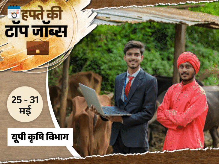 हफ्ते-की-टॉप-जॉब्स:ssc-cgl-की-12,256-भर्तियों-का-नोटिफिकेशन-जारी,-rssb-में-3951-वैकेंसी;-इस-हफ्ते-20,866-नौकरियां