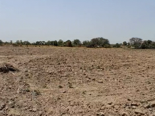 paper-shows-ponds,-ground-reveals-ploughed-fields:morena-ceo-inspects-site;-secretary-rejects-probe,-claims-ponds-exist-but-weren’t-seen