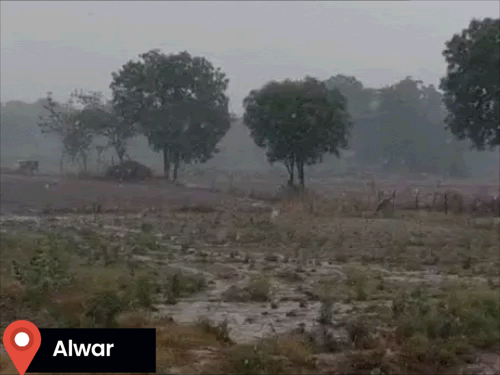 rain-in-alwar,-orange-alert-for-rain-in-sri-ganganagar:hail-in-dungarpur,-rain-in-udaipur;-4-flights-diverted-to-jaipur-due-to-bad-weather