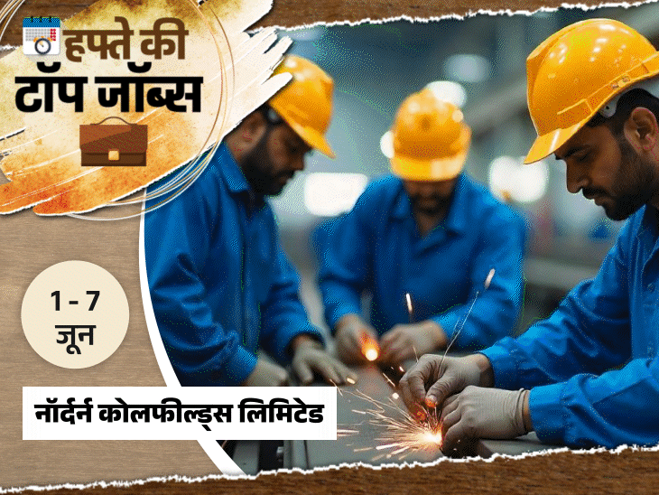 हफ्ते-की-टॉप-जॉब्स:यूपी-लोअर-pcs-की-2285-भर्तियां,-नेशनल-कोलफील्‍ड्स-में-1607-वैकेंसी;-इस-हफ्ते-निकलीं-4,689-नौकरियां