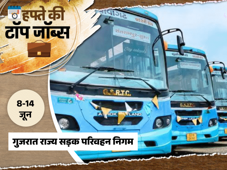 हफ्ते-की-टॉप-जॉब्स:गुजरात-में-12वीं-पास-की-8917-भर्तियां,-पंजाब-में-10वीं-पास-की-6289-वैकेंसी;-इस-हफ्ते-निकलीं-18,481-नौकरियां