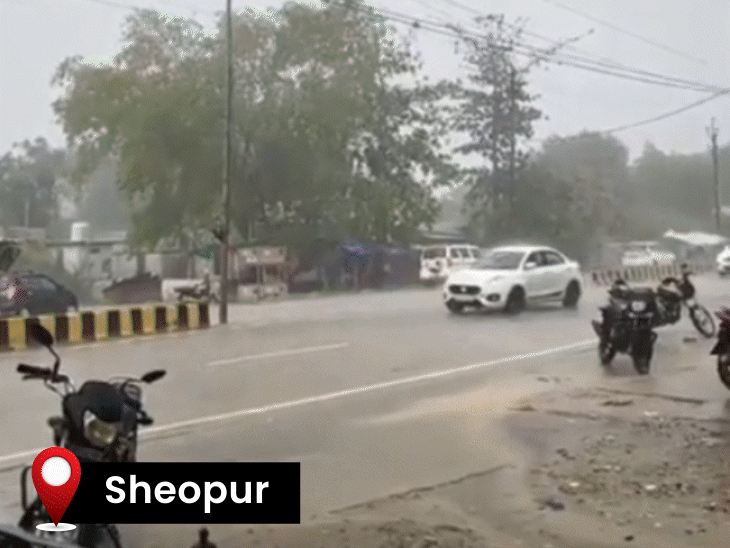 storm,-rain-alert-in-37-mp-districts-including-indore,-gwalior:jabalpur,-shahdol,-rewa-and-sagar-divisions-receives-65%-less-rain;-monsoon-to-arrive-after-4-days