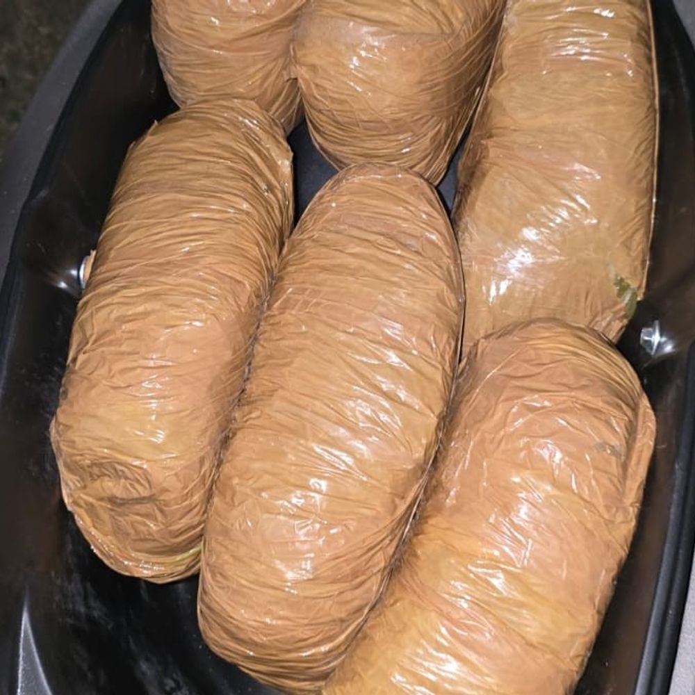 14.5-kg-cannabis-found-inside-college-bags:4-traffickers,-including-minor,-held-in-jabalpur;-₹5-lakh-worth-of-drugs-seized
