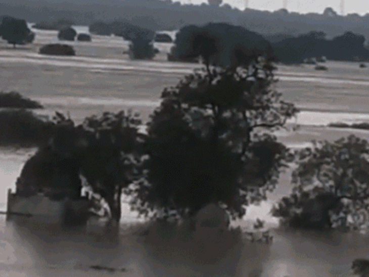 bhind-villages-become-islands-during-rains:hundreds-of-families-flee-flooded-homes-every-year;-rising-river-water-destroys-houses,-crops,-and-livelihoods